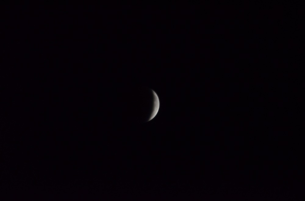 DSC_0294