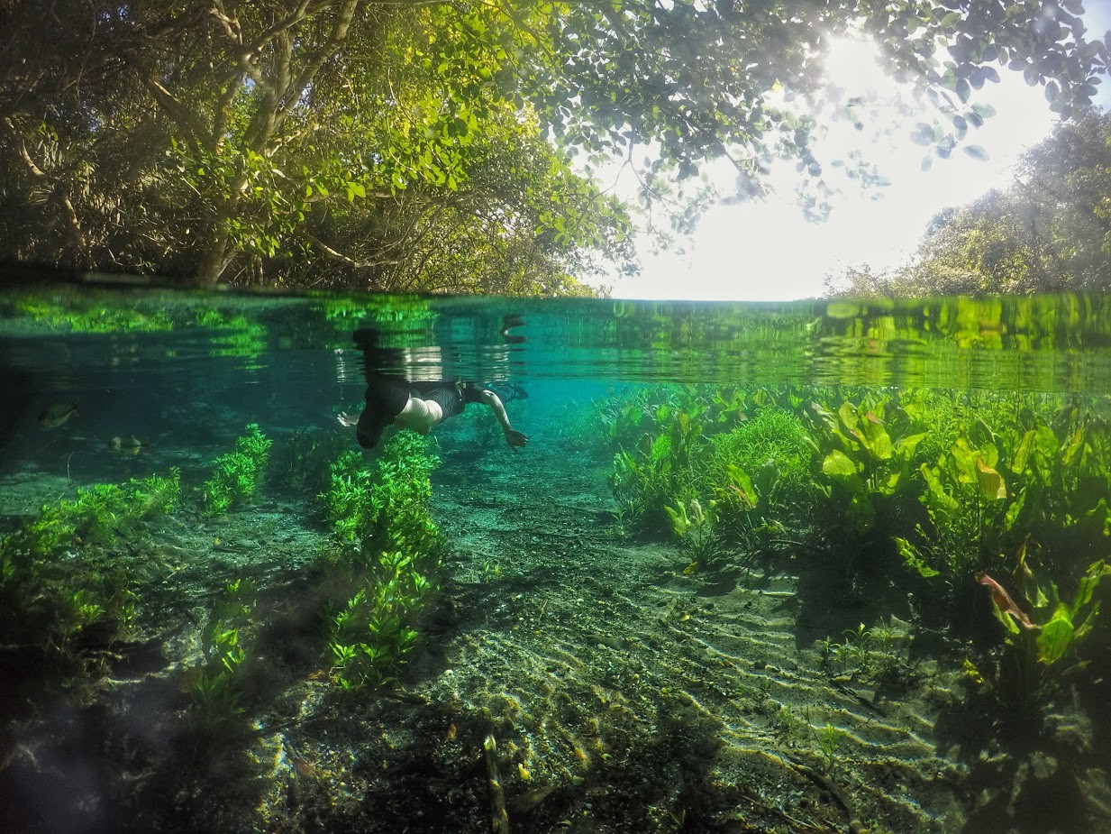 Buceo2