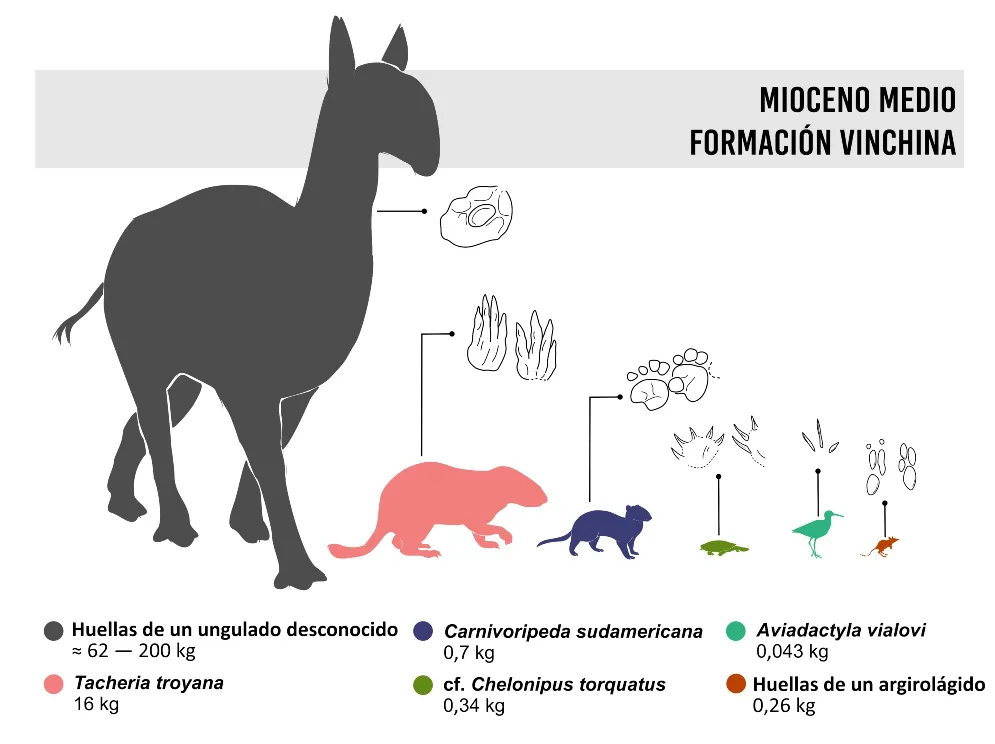 Imagen-1-WEB-3