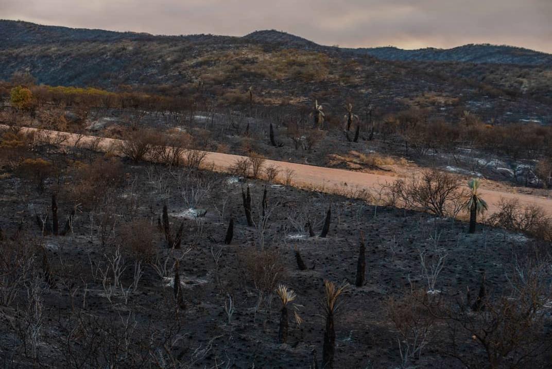 Incendios Córdoba 