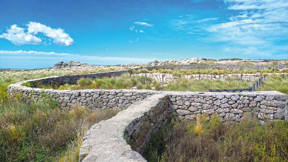 Puesto san miguel © Arq Antonio Sabatté00003