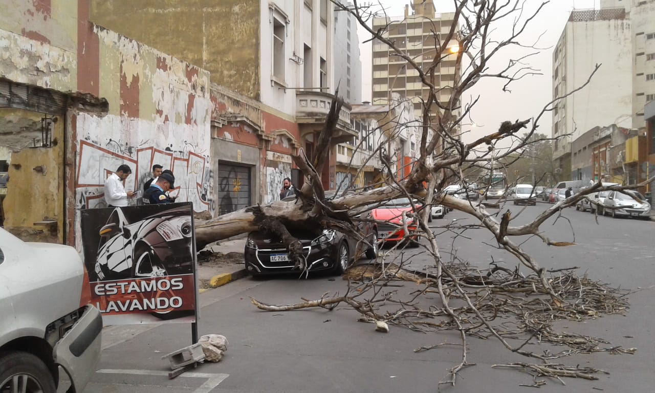destrozos temporal cba