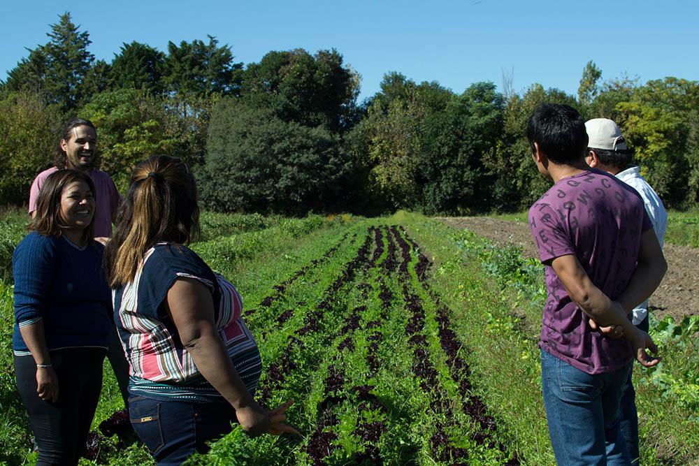 Agroecologia 01