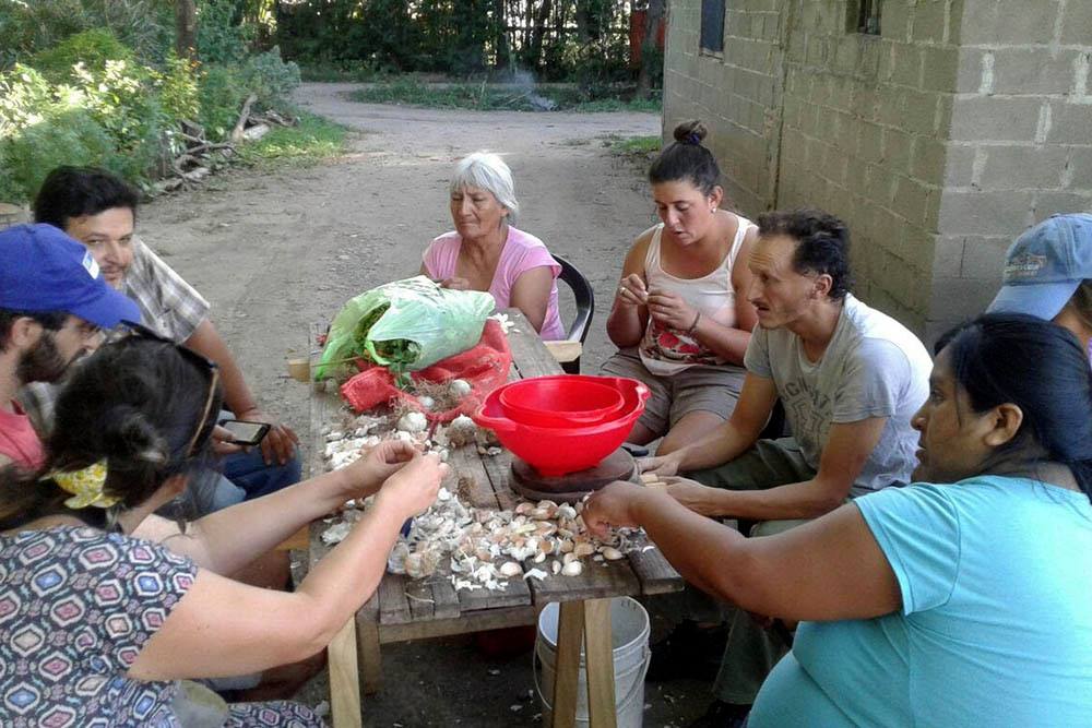 Agricultura familiar 2