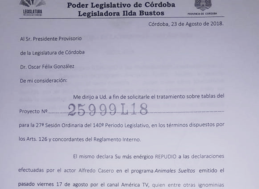 proyecto ilda bustos casero