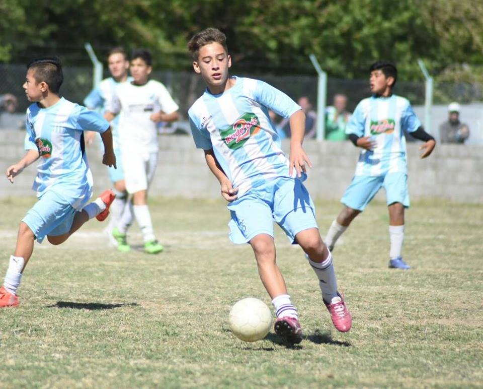 racing pomba