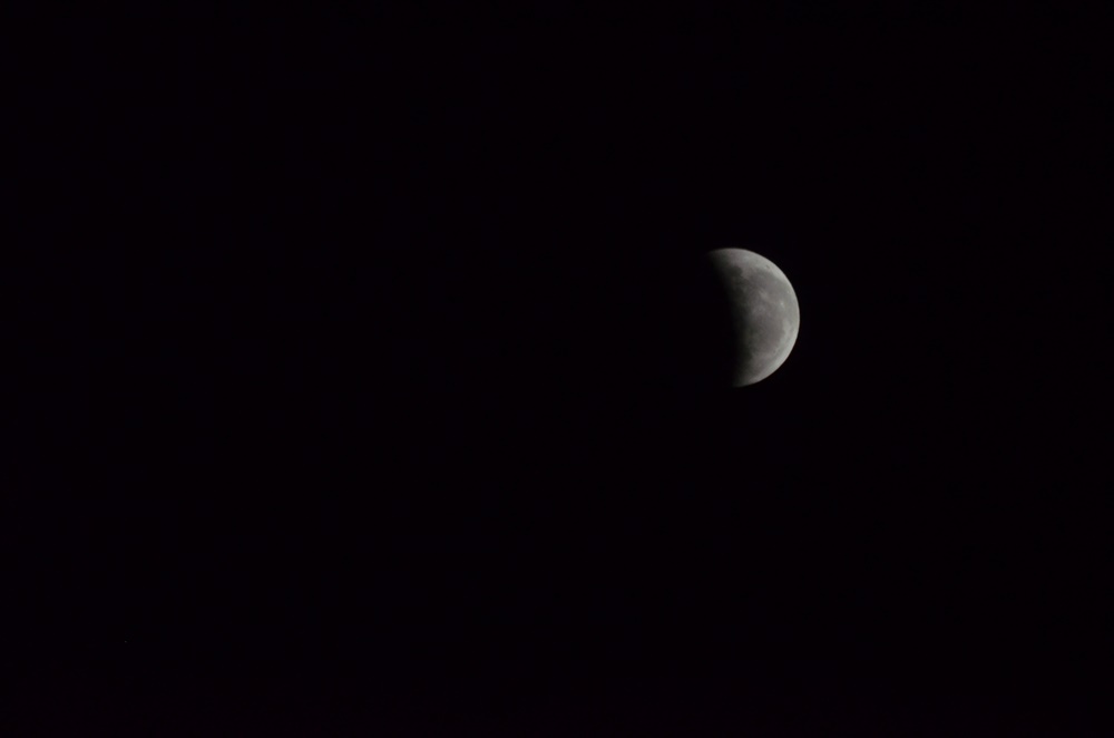 DSC_0363