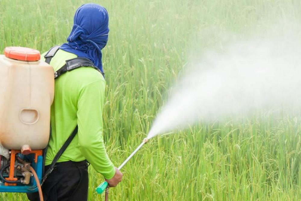 Испытания пестицидов. Пестициды. Пестициды и гербициды. Пестициды в сельском хозяйстве. Пестициды фото.