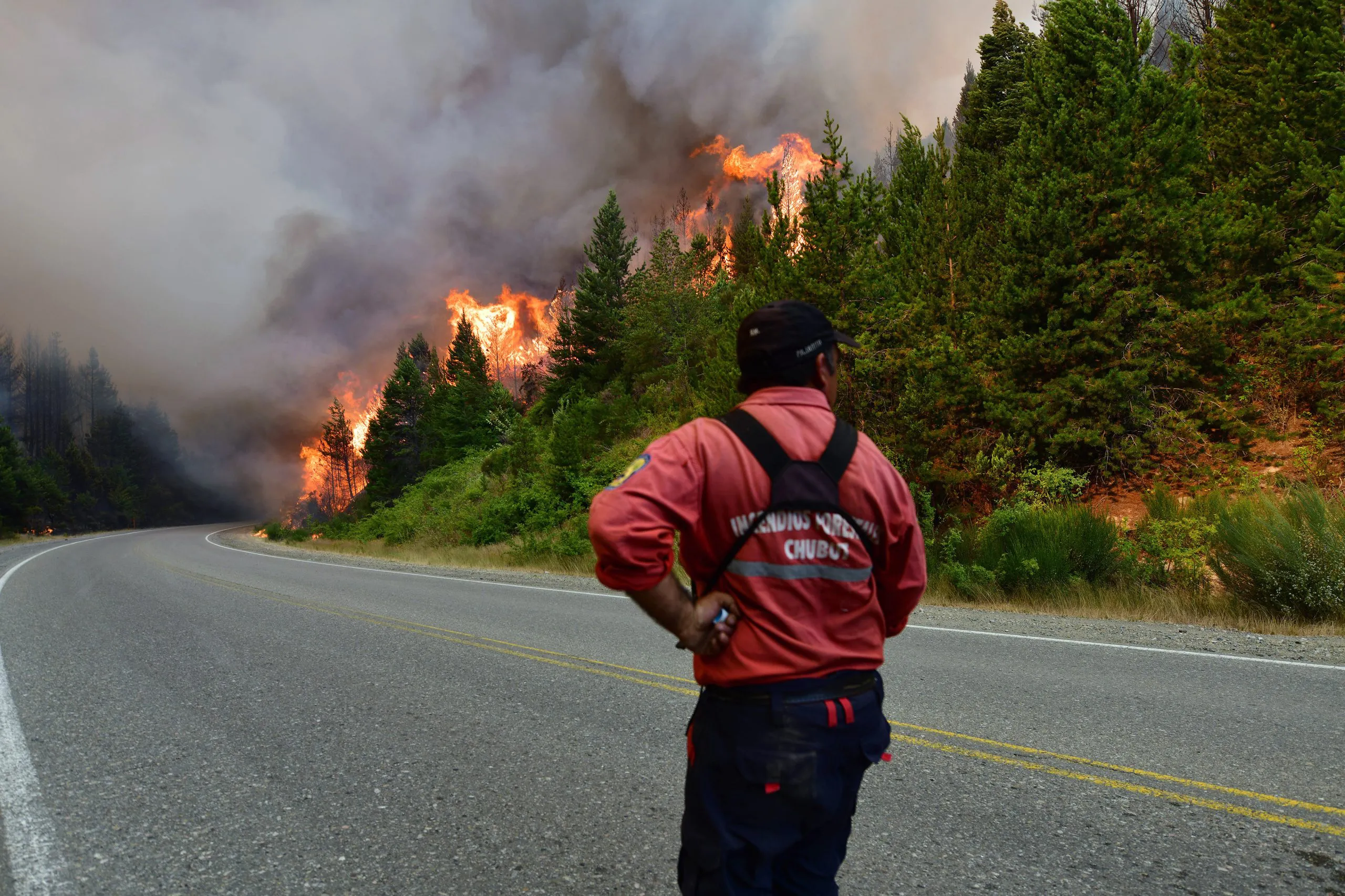 Crisis en la Patagonia: el fuego ya arrasó 45 mil hectáreas y hay ...
