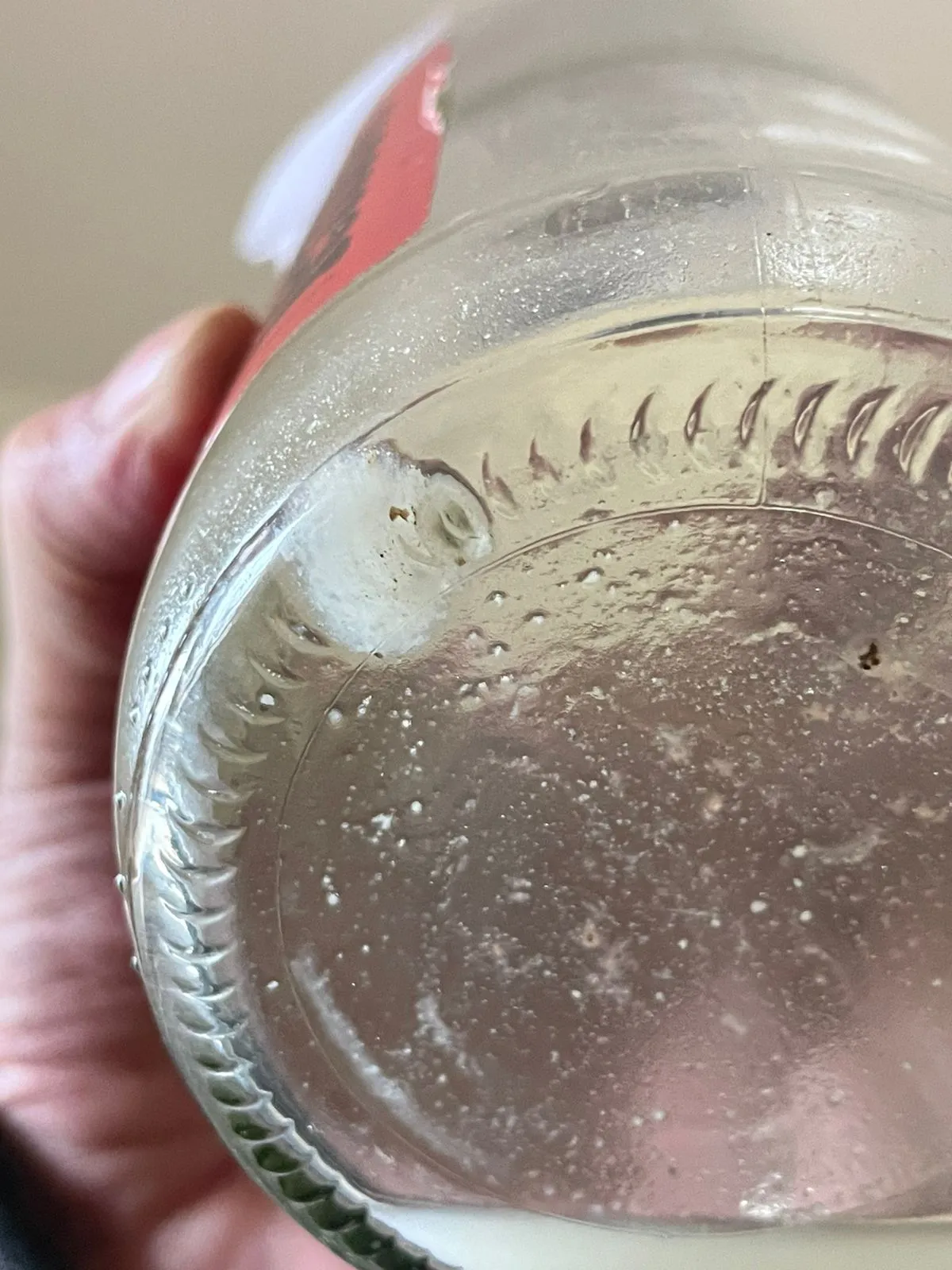 multimedia.grande.90f863d2b1d3206c.V2hhdHNBcHAgSW1hZ2UgMjAyNC0xMS0yMCBhdCAxOC5fZ3JhbmRlLndlYnA%3D