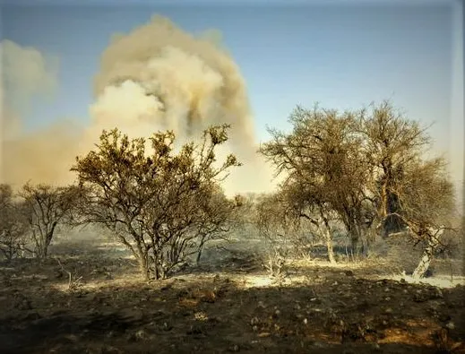 Incendio en Panaholma (Traslasierra Noticias) 01