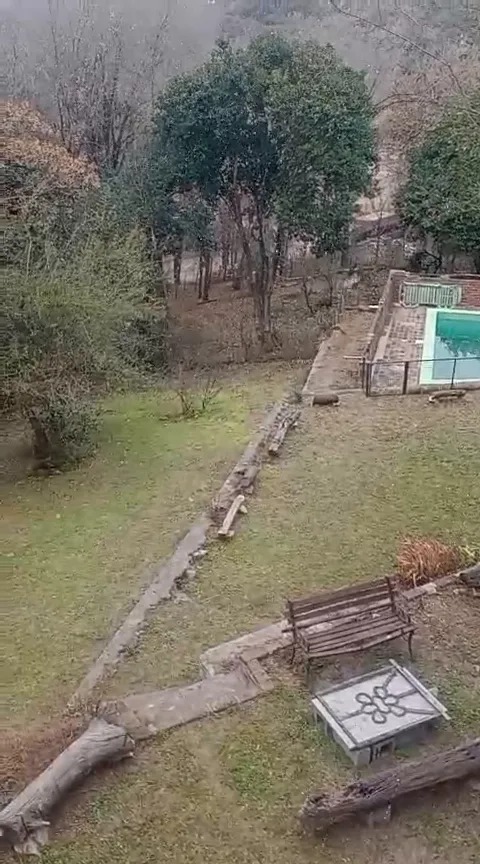 WhatsApp Video 2025-06-29 at 10.17.24