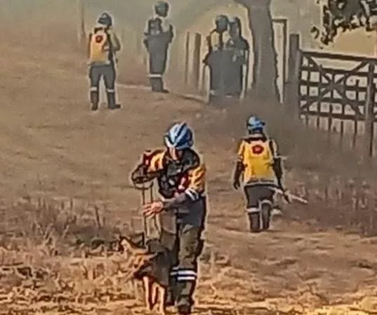 Incendio en Salsipuedes