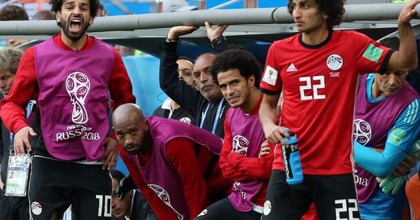 Amr Warda