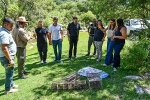 Aves liberadas en Colanchanga (Gobierno de Córdoba) 2