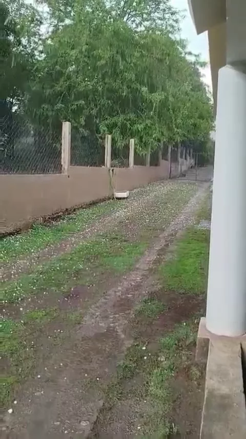 WhatsApp Video 2026-10-31 at 19.39.04