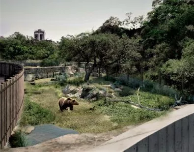 Proyecto de ambiente para osos en el Parque de la Biodiversidad (Municipalidad de Córdoba)