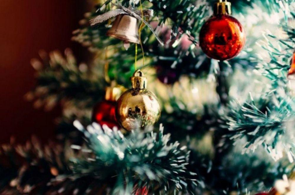 Arbol de navidad primer plano gentileza