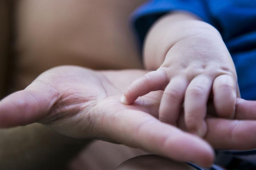 Adopción (1)