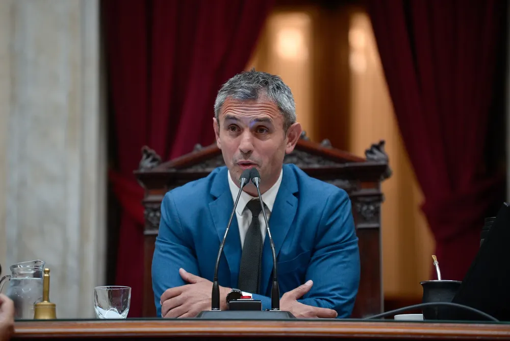 Martín Menem en Diputados