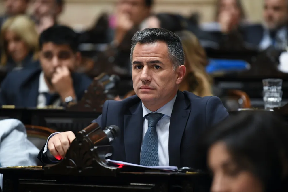 Gabriel Bornoroni en Diputados (X de Diputados)