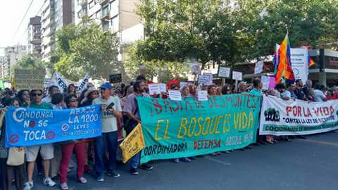 marcha ley de bosques 12