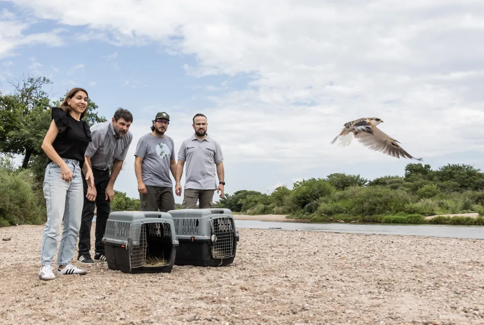 Liberación de fauna silvestre (Gobierno de Córdoba)