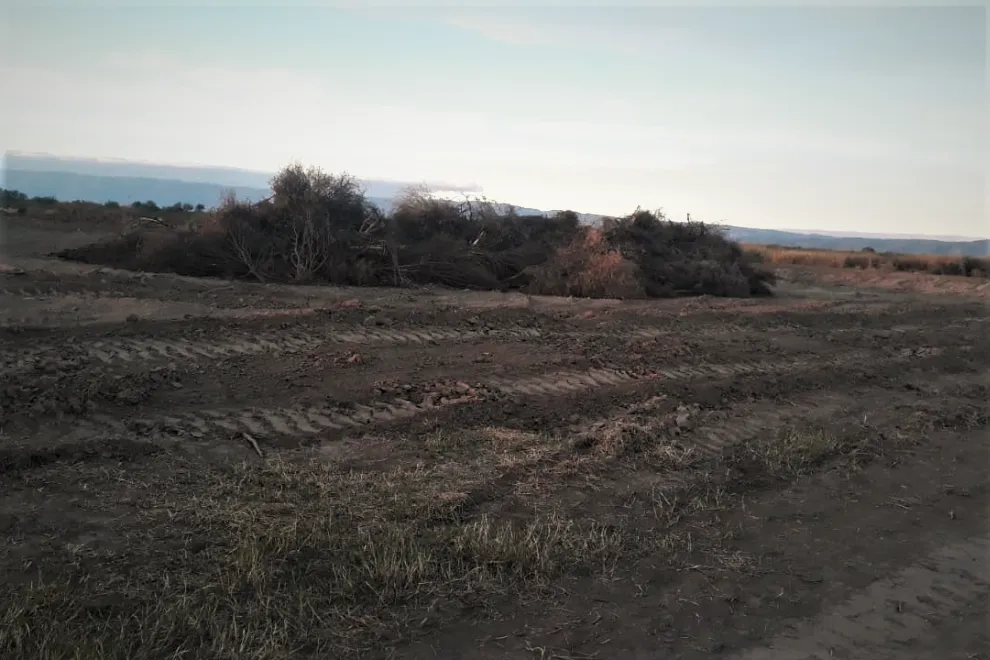 Desmonte en San Vicente (Gobierno de Córdoba)