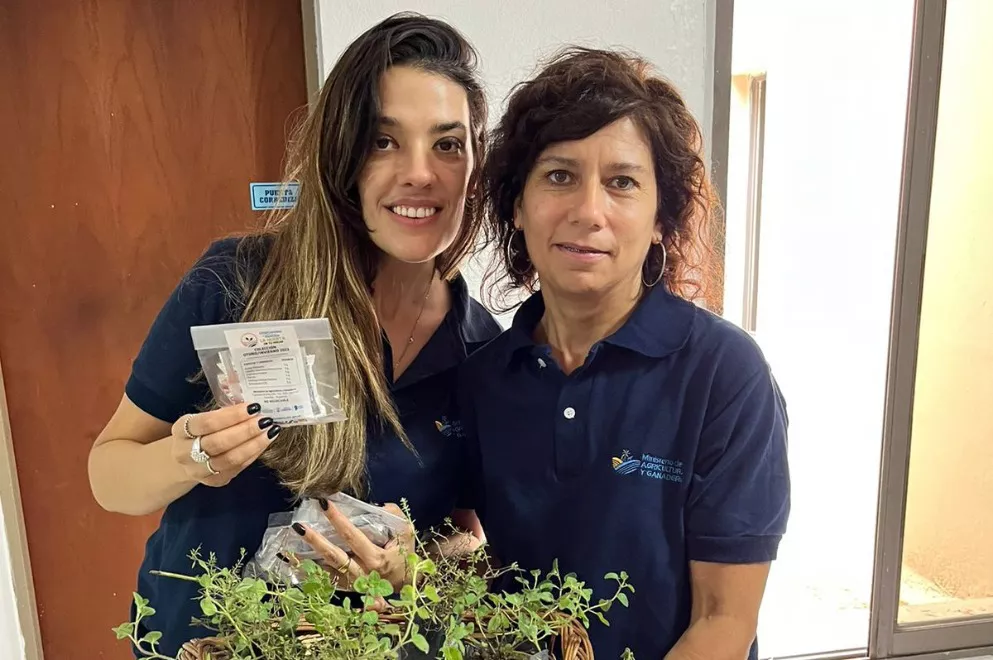 huerta en tu hogar