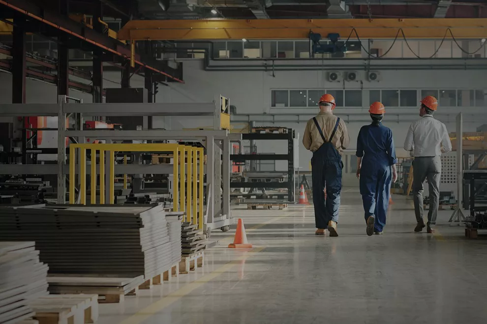 programa industria