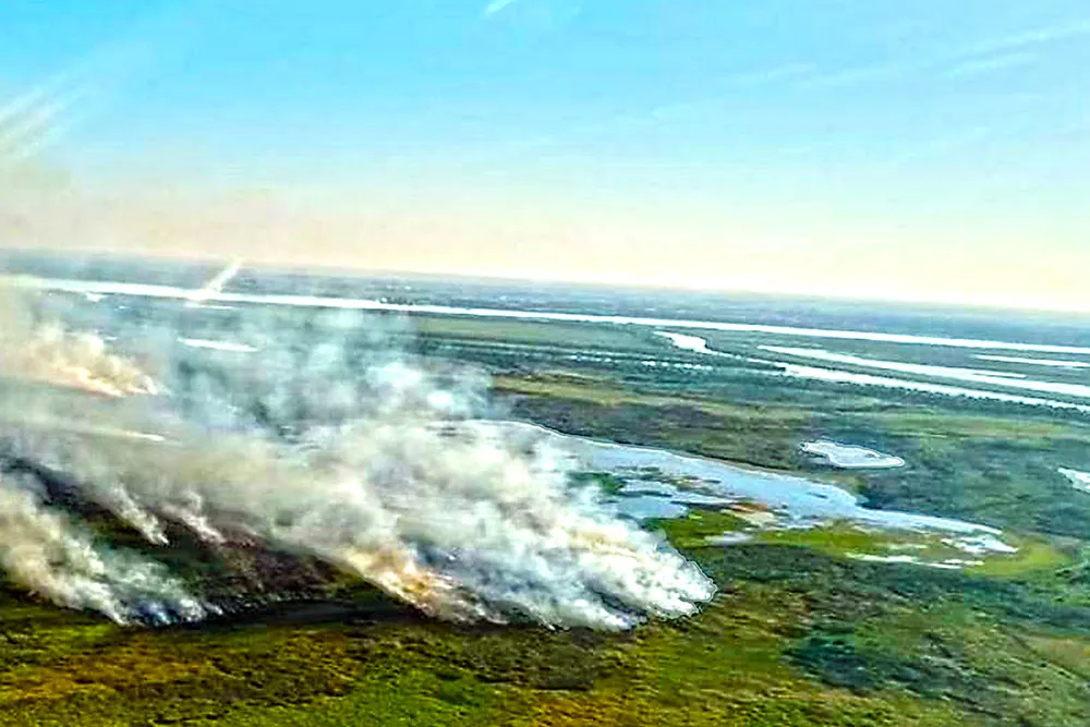 © incendios humedales Eduardo Bodiño Greenpeace