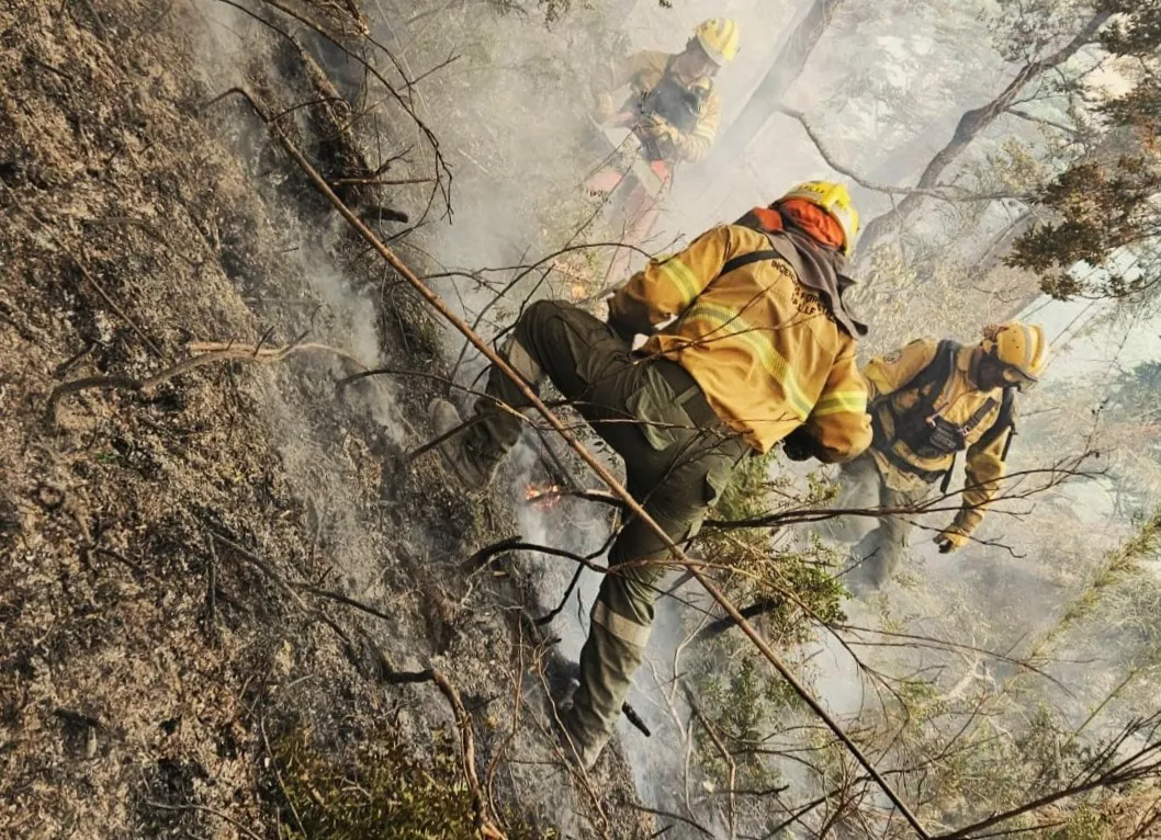 Incendio en El Bolsón (Gobierno de Río Negro)