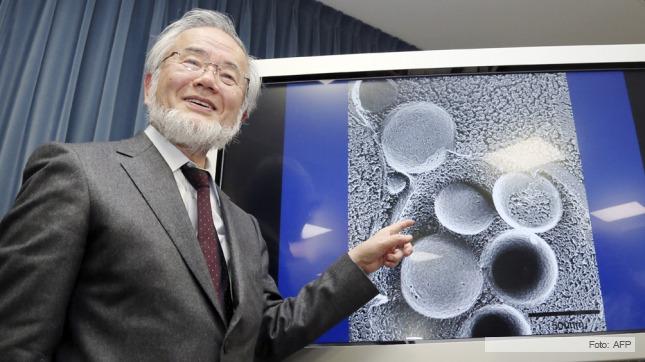Yoshinori Ohsumi
