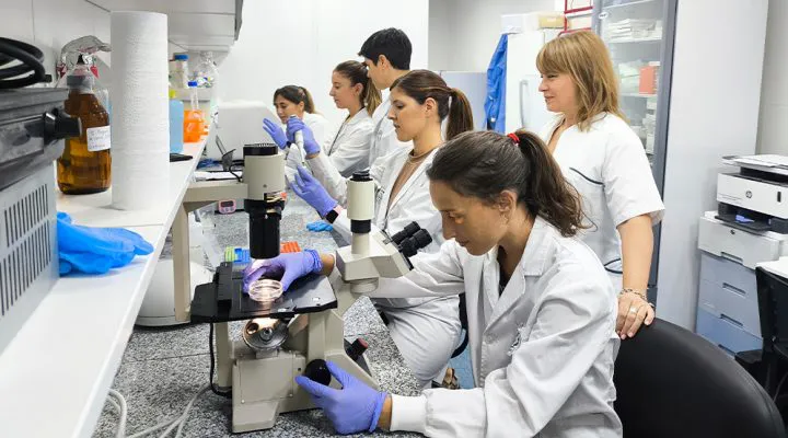 Científicos trabajan en vacuna preventiva del Chagas (Conicet)