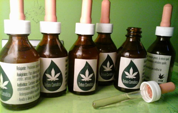 aceite cannabis