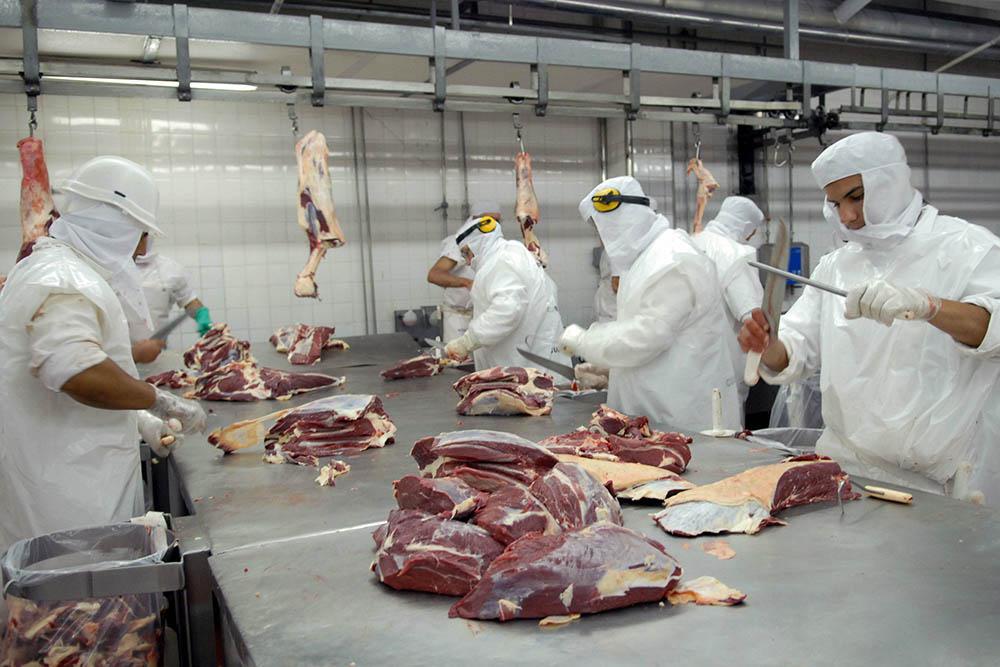 carne © NA