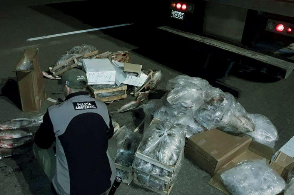Policía ambiental Gobierno de la Provincia de Córdoba