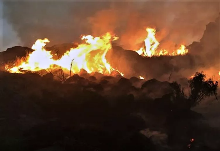 Incendio en Pampa de Achala (MPF Córdoba)