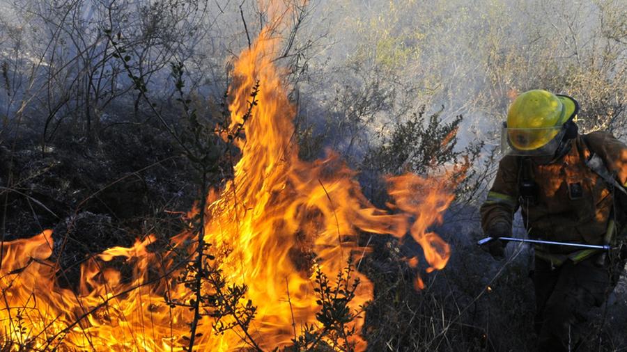 incendio dos