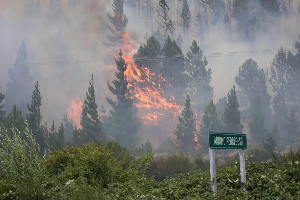 Incendio en Epuyén (NA) 2
