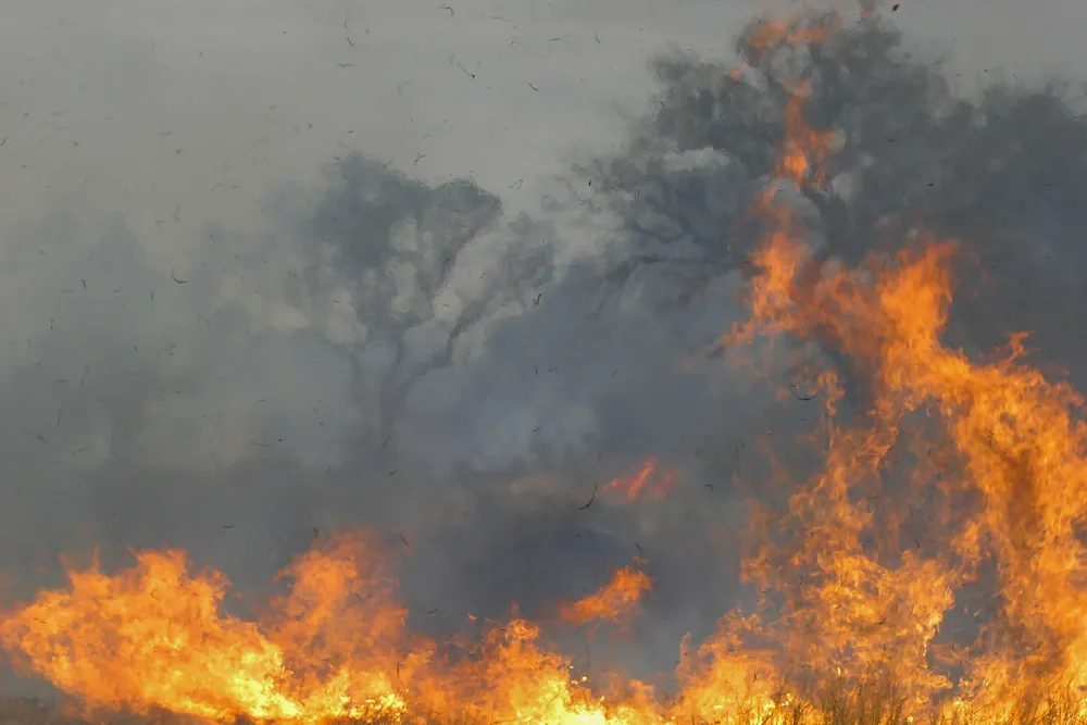 Incendios forestales (NA)