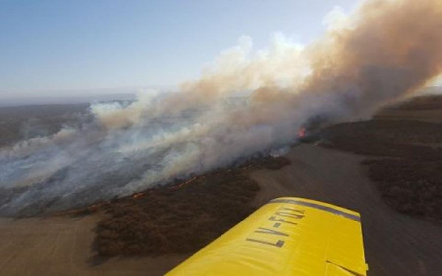 quillinzo incendio