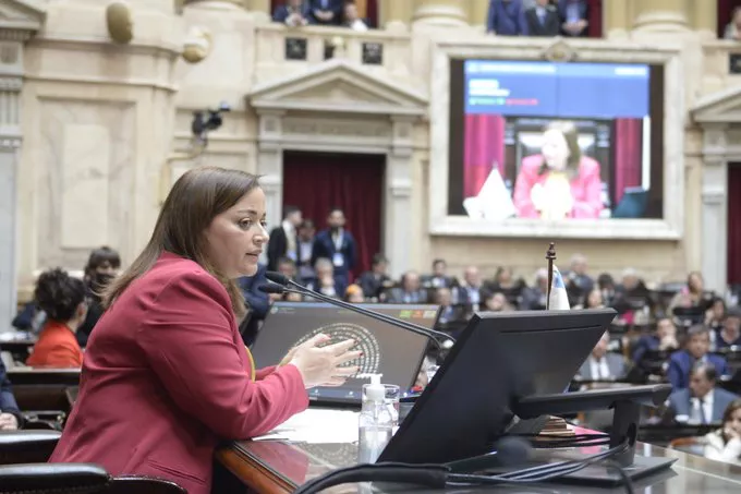 Cecilia Moreau en la Cámara de Diputados de la Nación