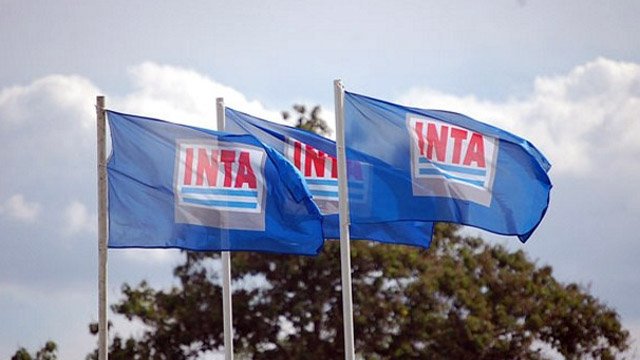 Inta
