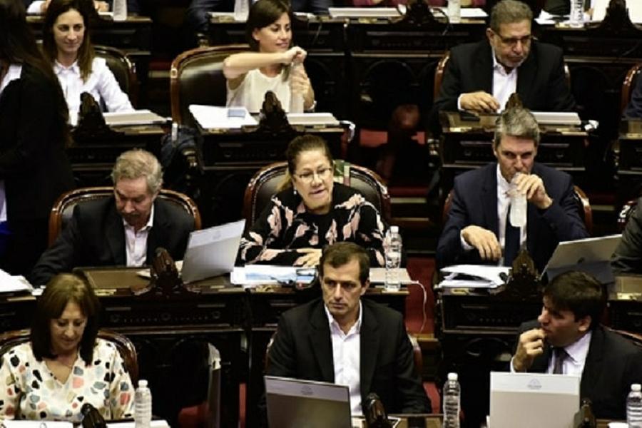 Caamaño diputados by Infobae