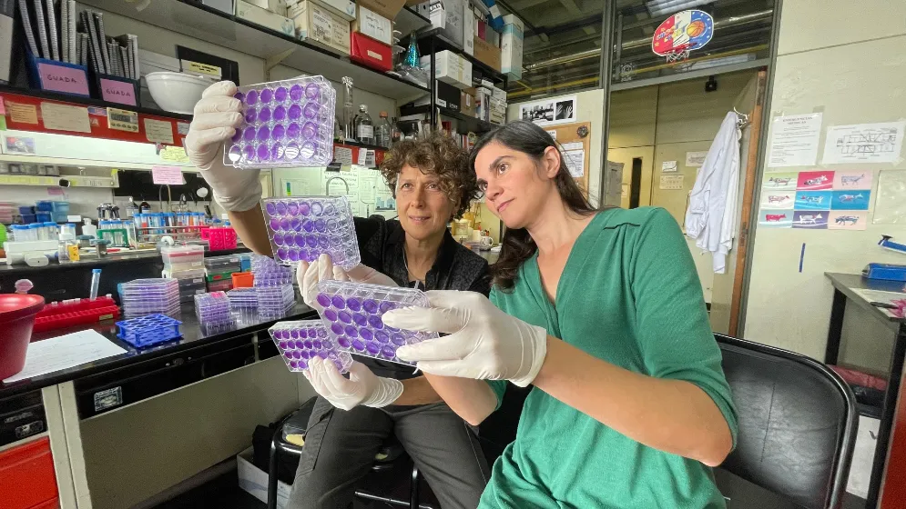 Investigación dengue Conicet