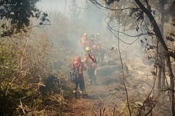 Incendio en Lago Puelo (Tiempo Argentino)