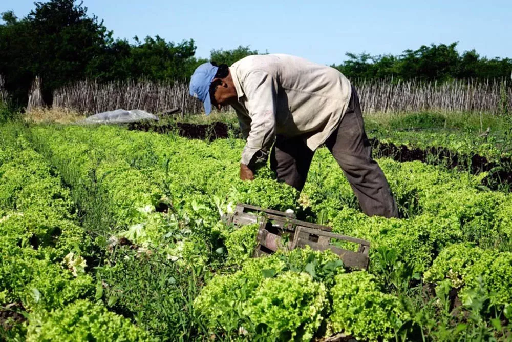 Huerta01