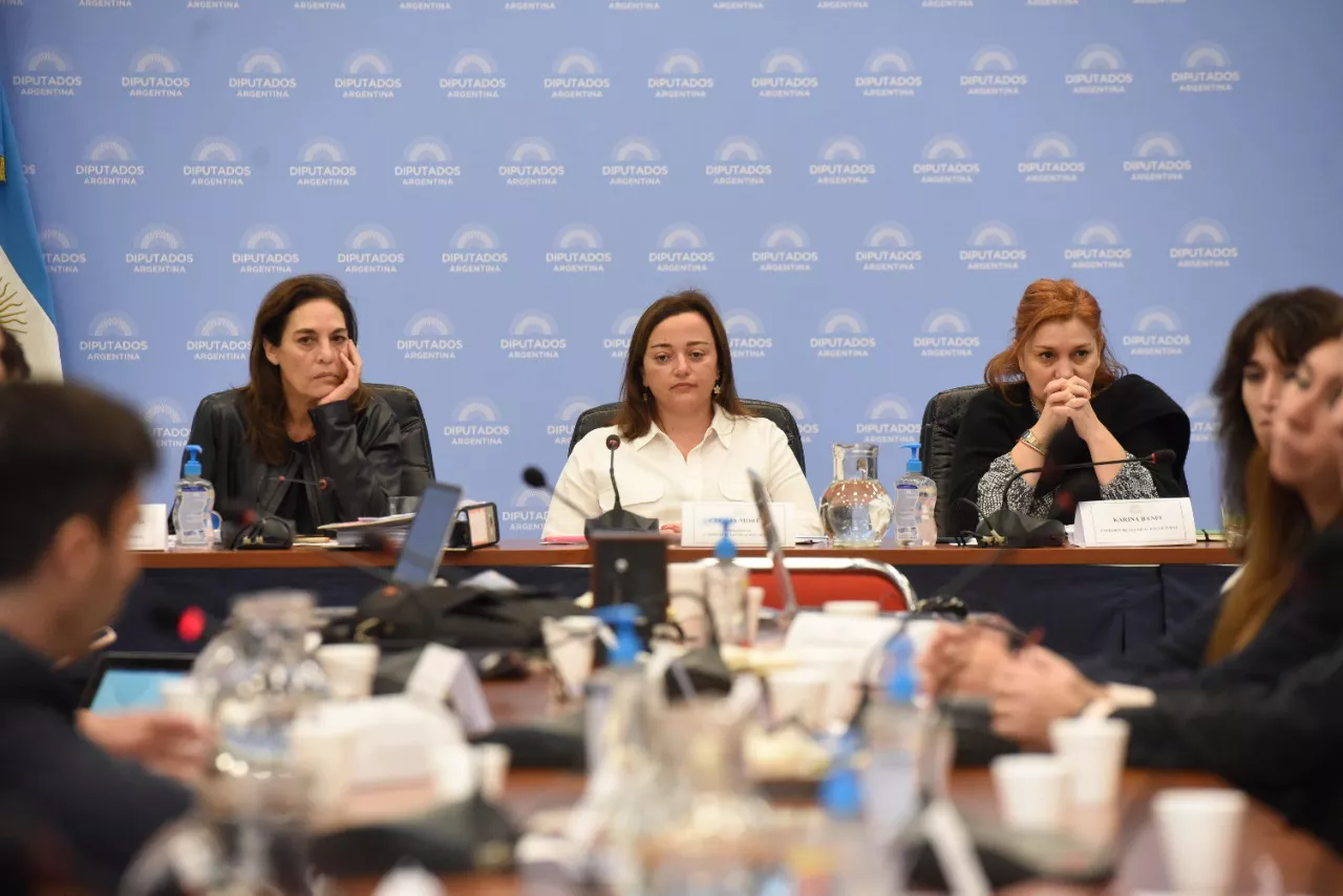 diputados by HCDN