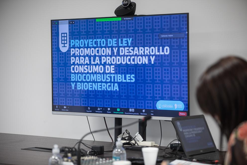 biocombustibles legislatura